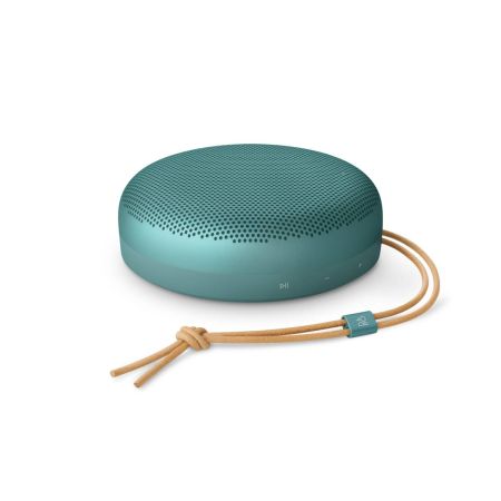 Bang & Olufsen Beosound A1 3rd Gen-Eucalyptus Green